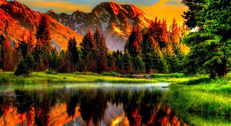 Desktop Backgrounds .